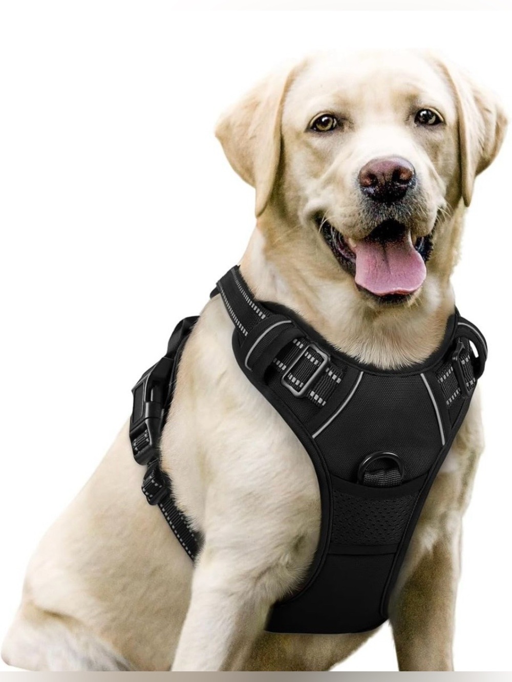 Rabbitgoo Comfort Padded Black Dog Harness - Adjustable No-Pull Vest, L